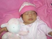 An Image Slideshow